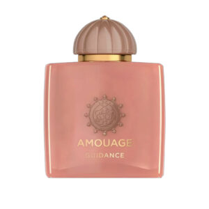 خرید عطر آمواج گایدنس